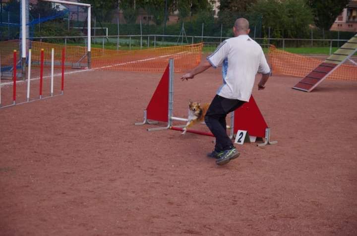 Lexa du Fief Des Petits Crunchis